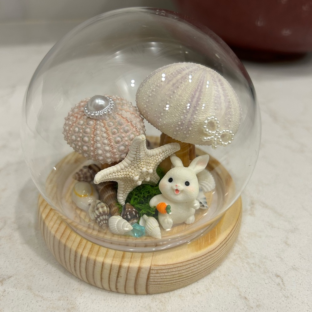 Seashell Bunny Glass Dome Accent 
Brand new